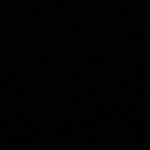 Meet your Posher, Lilly